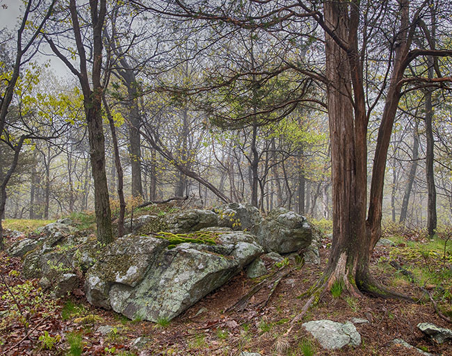 30 Acres Added to Sterling Forest State Park