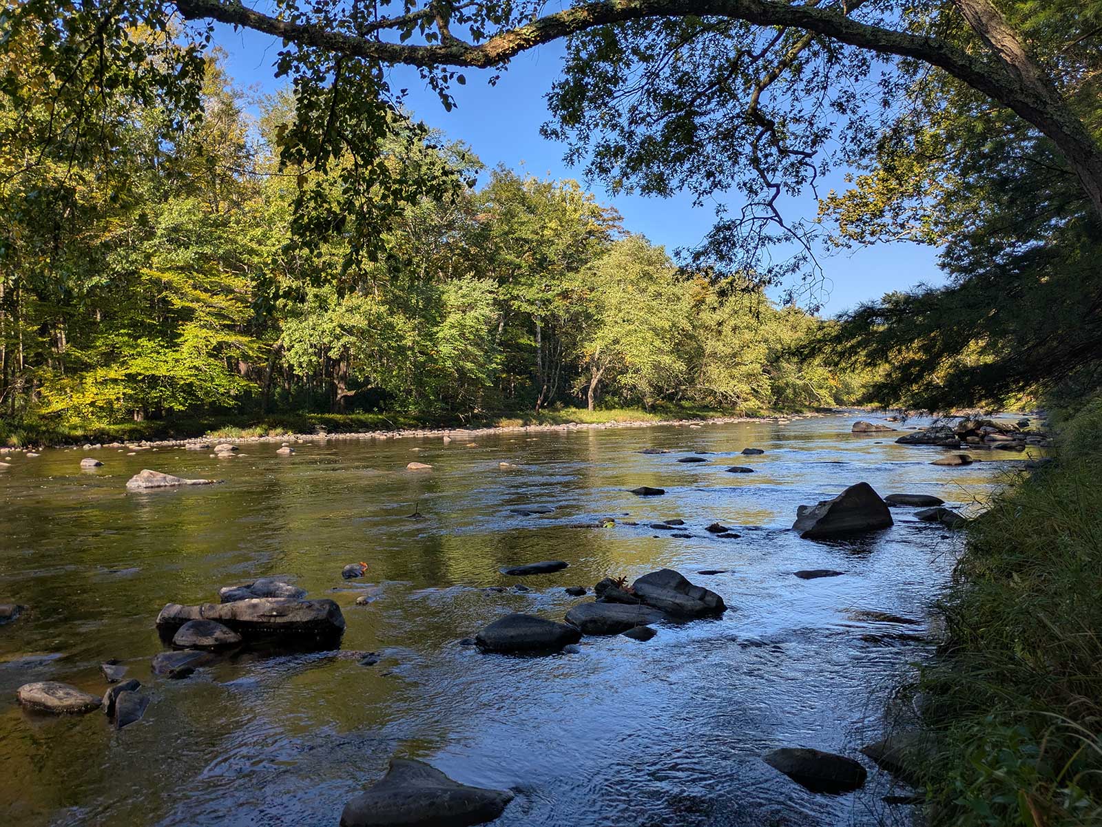 View of the Neversink River from Conserved Property. Photo: Chris Biondi