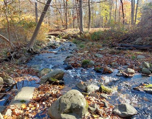 Tributary-of-Hackensack-River-from-Conserved-Land. Photo: OCLT.org