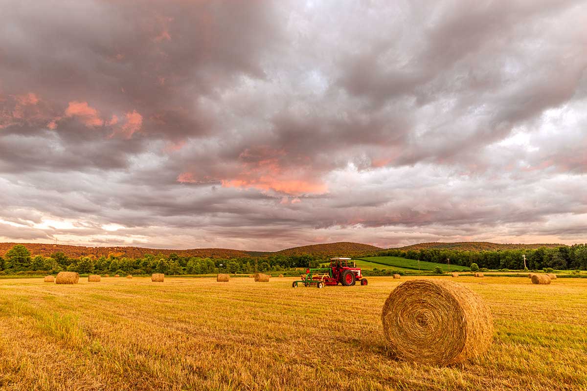OCLT to Expand Farmland Protection Efforts